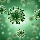 Virus